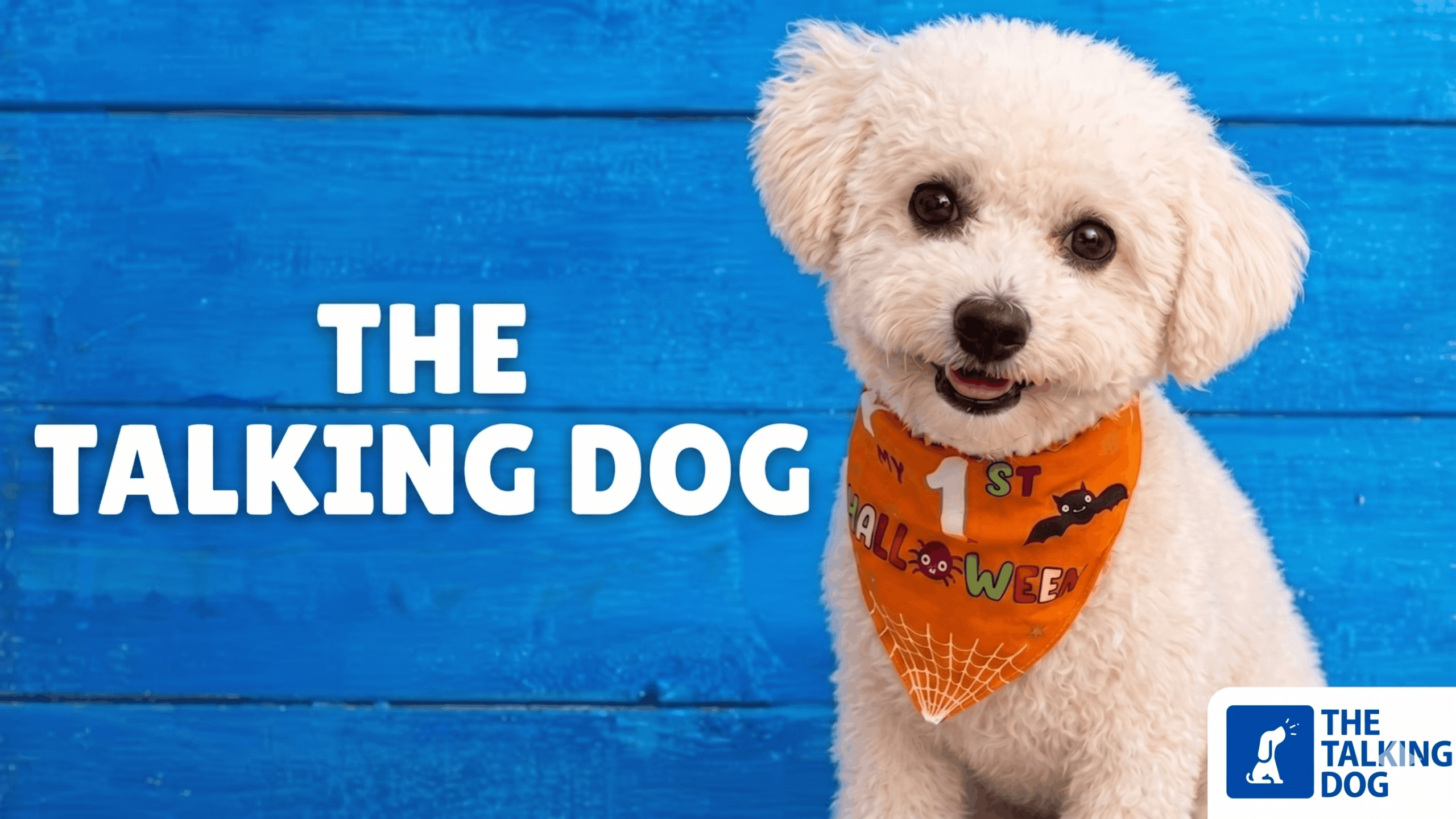 The Talking Dog Course