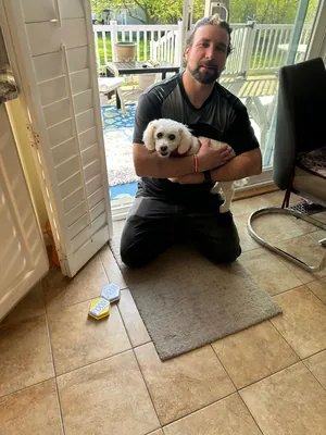 Jack, Daniel's Bichon Fris&eacute;