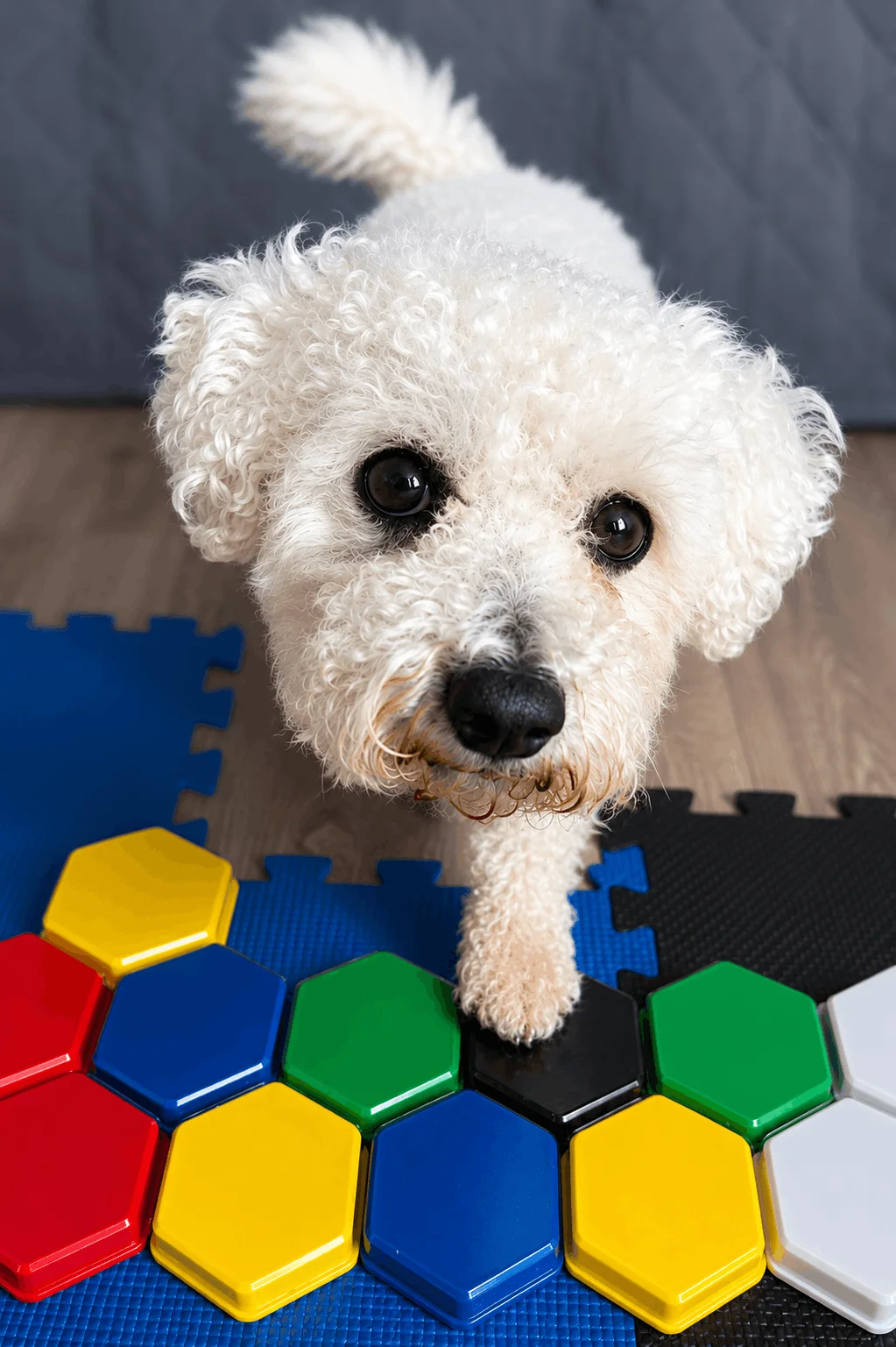 Kenny with his dog demonstrating talking button communication